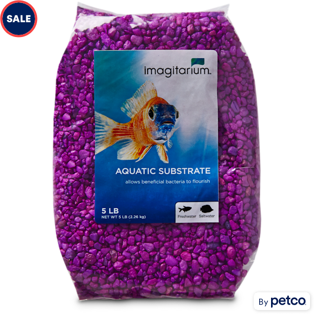 blik boezem gezantschap Imagitarium Neon Purple Aquarium Gravel, 5 lbs | Petco