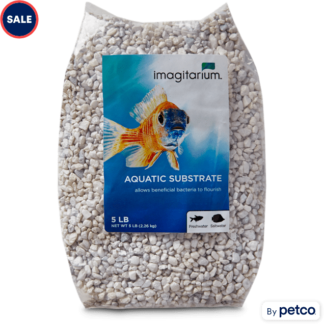 Gedragen Vloeibaar Geld rubber Imagitarium Mini White Aquarium Gravel, 5 lbs | Petco