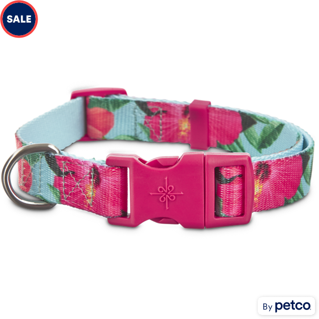 Kiwi Love Handmade Green Kiwi Summer Dog Collar  Stylish and Vibrant  Accessories for Your Pup! – Naughty Paws