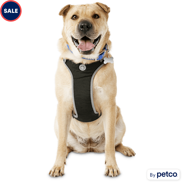 3xl dog harness clearance