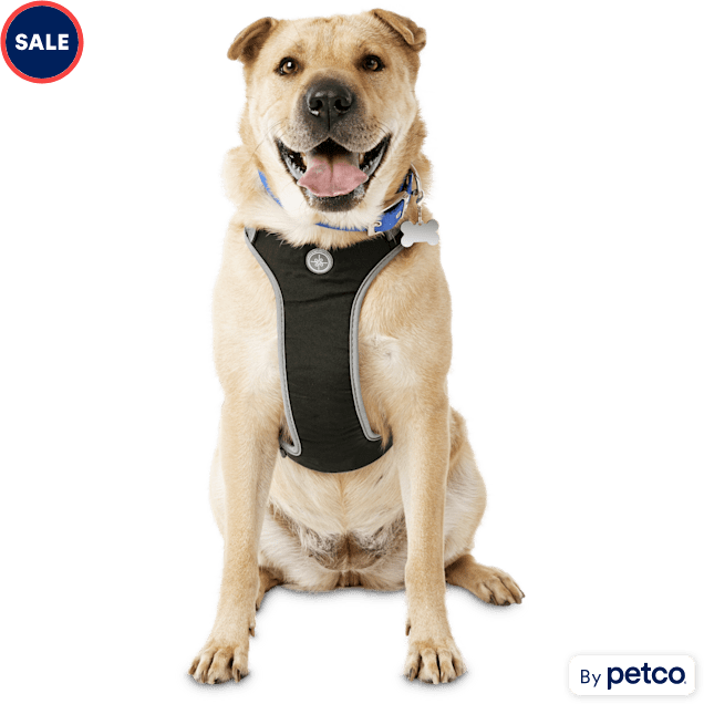 Large/extra-large pet harness