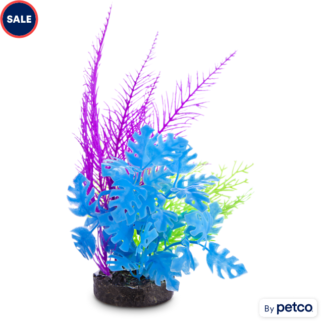 Petco aquarium decorations sale