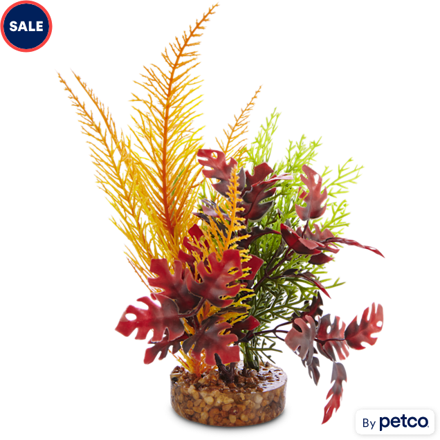 Multi-Color Hawaiian Tropical Plastic Medium | Petco