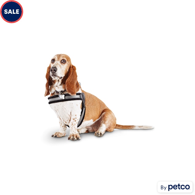 Good2Go Quick-Fit Dog Harness, X-Large/XX-Large | Petco