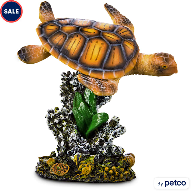 Painted turtle for sale at petco clearance