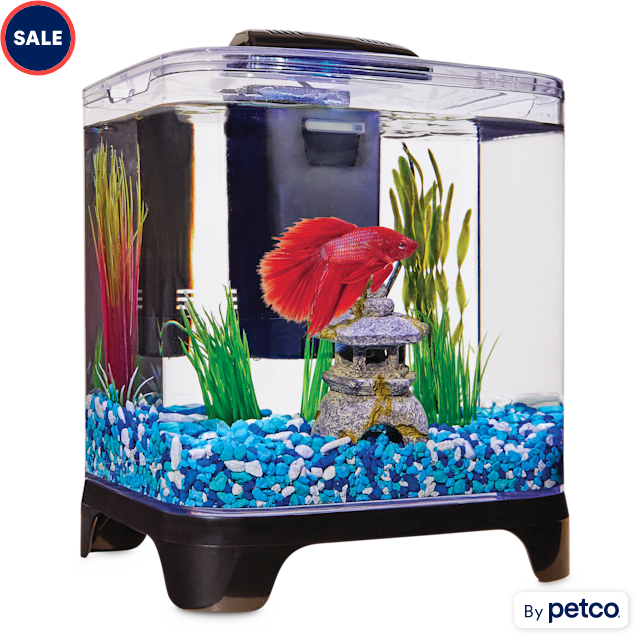 Shop Betta Fiah Tank Cleaner with great discounts and prices