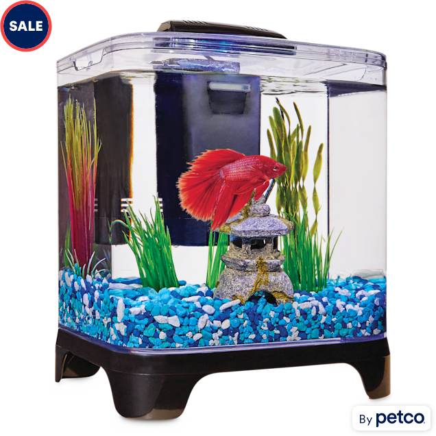 Small betta cheap fish tank