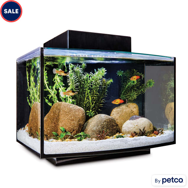 Platform Freshwater Aquarium Kit, 6.6 GAL | Petco
