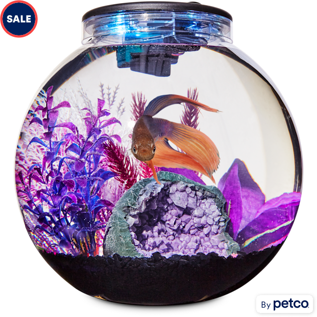 Petco fish bowl deals