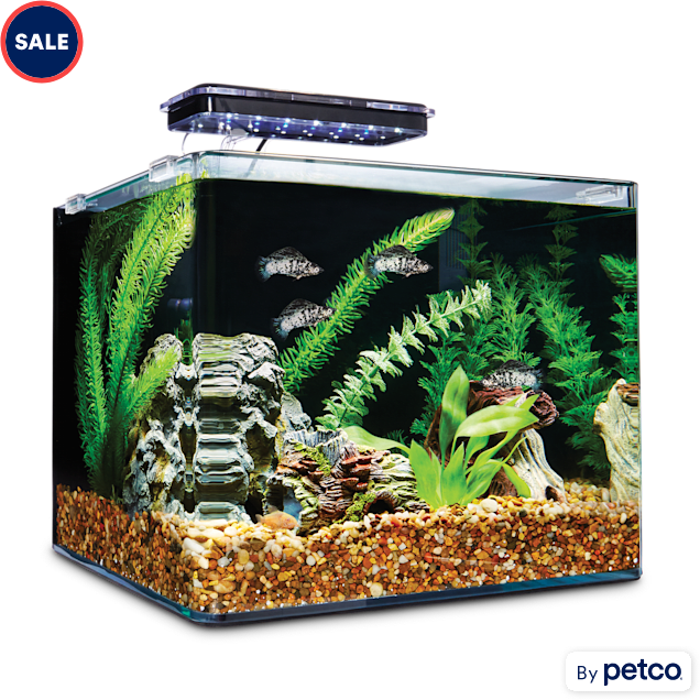 Imagitarium Frameless Freshwater Aquarium Kit, GAL | Petco