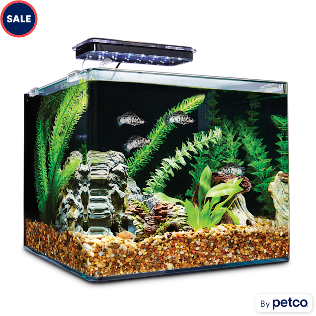 Imagitarium Frameless Freshwater Aquarium Kit, 6.8 GAL Petco