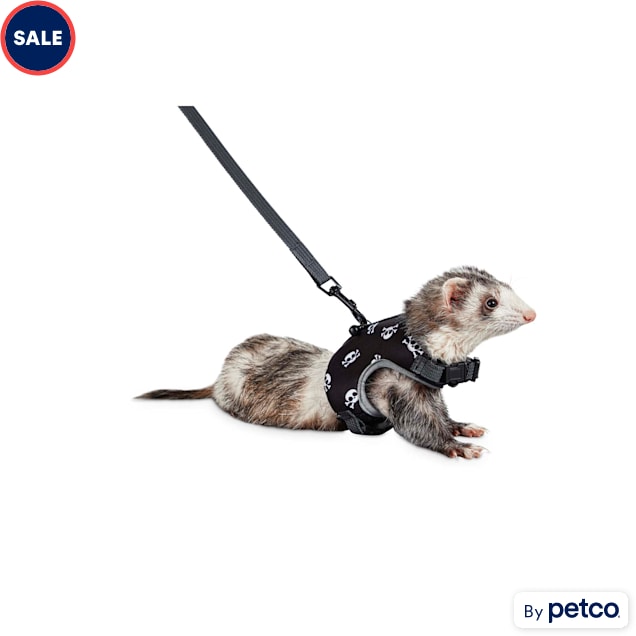 You & Me Skulls Small Animal Harness and Leash Set, Medium Petco