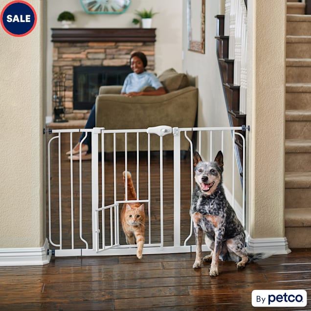 EveryYay In The Zone Steel WalkThrough Pet Gate, 2950" W X 30" H Petco