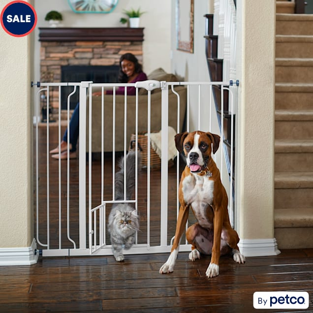EveryYay In The Zone ExtraTall WalkThrough Pet Gate, 2950" W X 41" H
