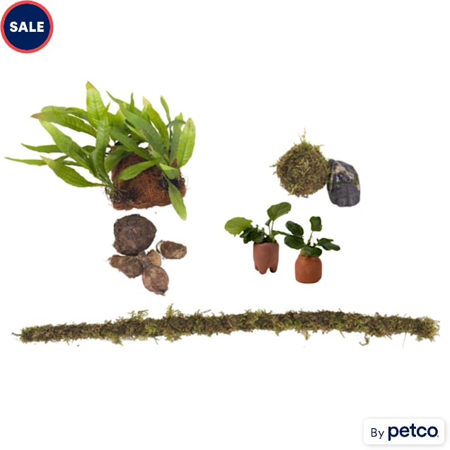 Live Plant Pack 3 - Decor for 20-29 Gallon Tanks - Carousel image #1