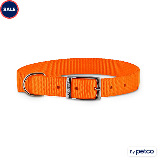 Form & Functional Dog Collars & Tags