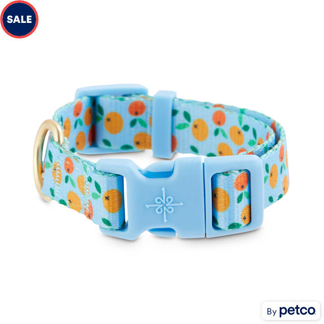 Good2Go Ripe Orange Dog Collar, Small Petco