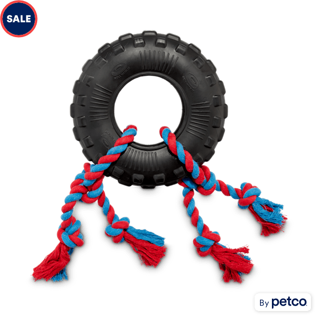 Leaps & Bounds Toss & Tug Tire Dual Rope Dog Toy, Medium - Carousel image #1