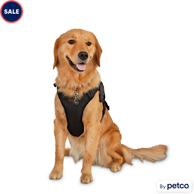 Escape proof dog harness petco online