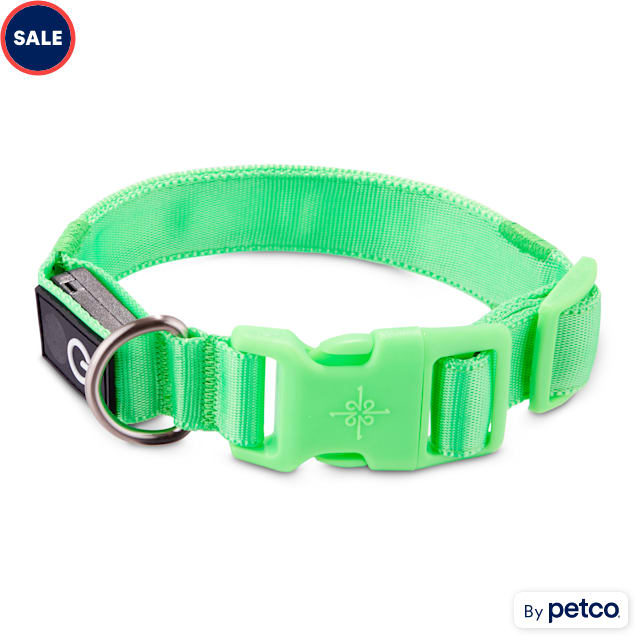 Good2Go Neon Green LED Light-Up Dog Collar, Small - Carousel image #1