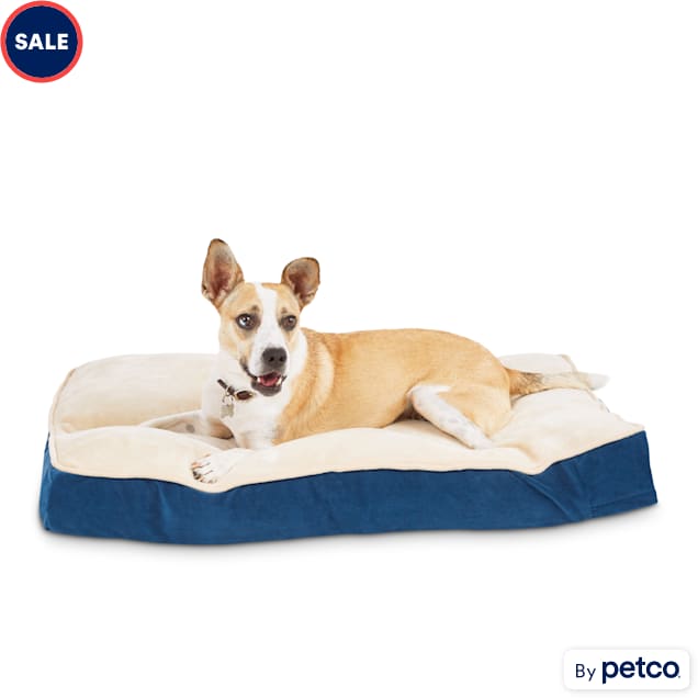 EveryYay Essentials Snooze Fest Blue Lounger Dog Bed, 33" L X 24" W - Carousel image #1