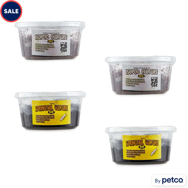 Spring Tail & Isopod Culture Combo 4-pack - Carousel image #1
