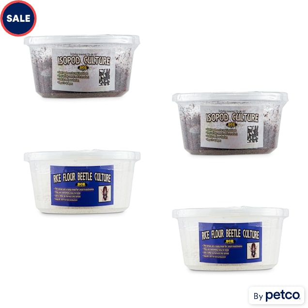 Rice Flour & Isopod Culture Combo Pack - Carousel image #1
