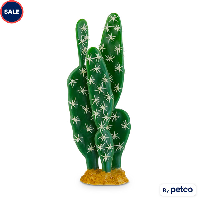 Imagitarium Cactus Terrarium Decor, Medium - Carousel image #1