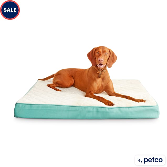 Harmony memory foam lounger shop