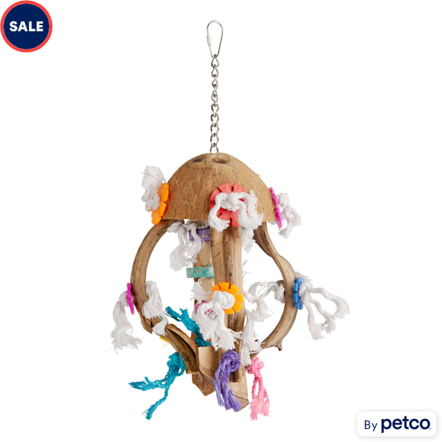 Petco jellyfish shop