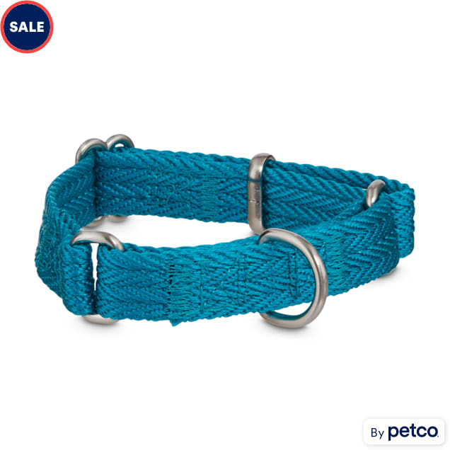 Good2Go Blue Martingale Dog Collar, XSmall Petco