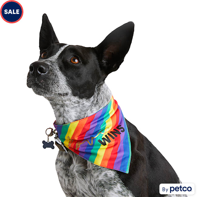 YOULY The Free Spirit Rainbow Dog Bandana, X-Small/Small | Petco