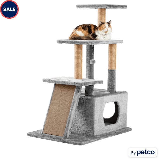 Cat tree for adult cats discount