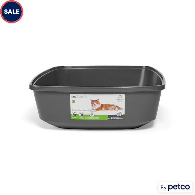 Cat litter top box petco