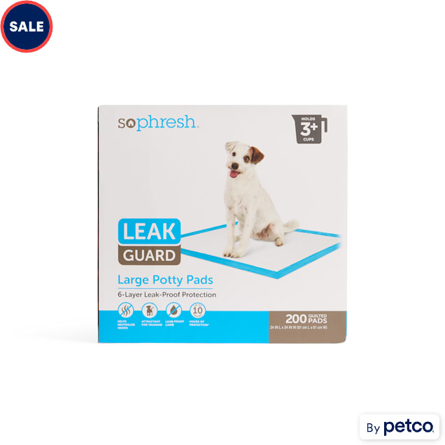 Wee wee pads discount petco