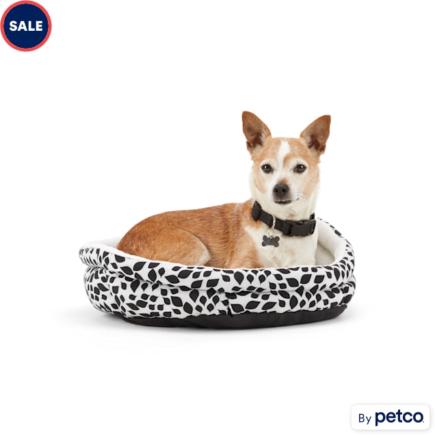 Chew proof dog bed petco discount