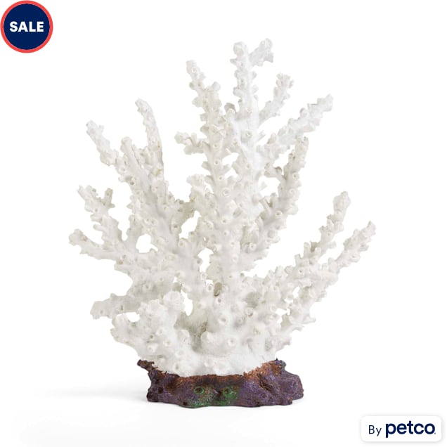 Imagitarium White Coral Aquarium Decor, Large Petco