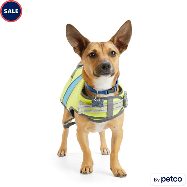YOULY The Beach Bum Ultimate Dog Flotation Vest, XSmall Petco