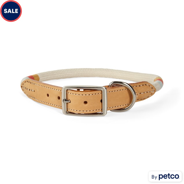 YOULY The Wanderer Cream Rope & Leather Dog Collar, Large Petco