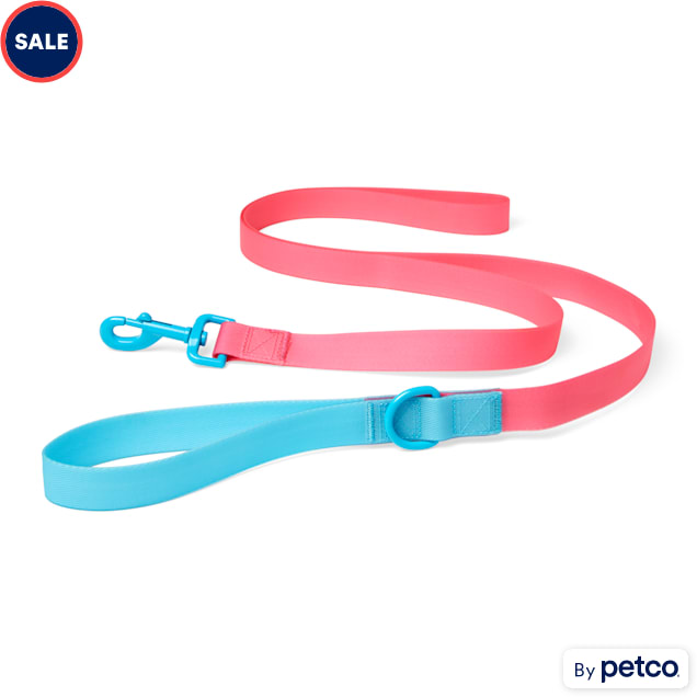 YOULY The Extrovert Water-Resistant Pink & Blue Colorblocked Dog Leash, 6 ft. - Carousel image #1