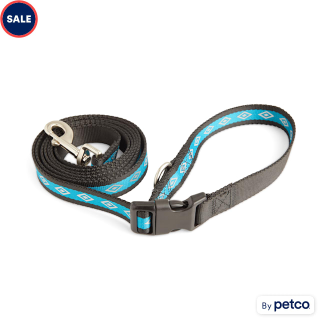 Dog clearance lead sale