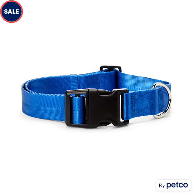 YOULY The Classic Webbed Nylon Dog Collar, Blue, X-Large/XX-Large - Carousel image #1