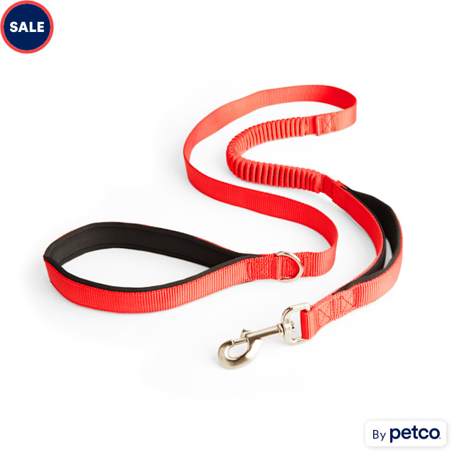 YOULY Red Shock Absorbing Dog Leash, 5 ft. | Petco