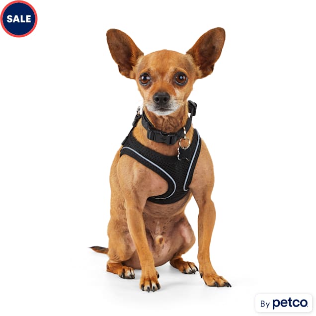 Dog Harnesses in Dog Collars, Leashes, and Harnesses 