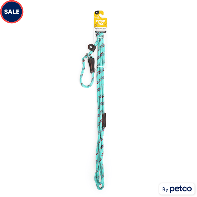 EveryYay Teal Settin' the Pace Confetti Training Slip Lead for Dogs, 6 ft.