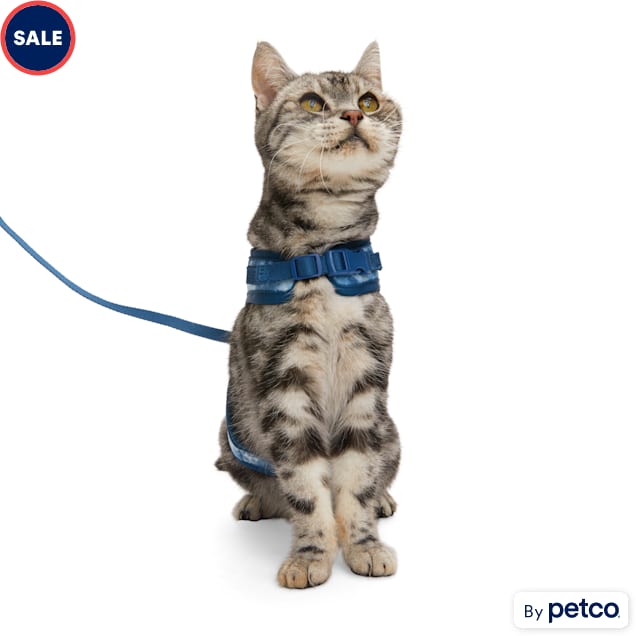 YOULY Tie Dye Cat Harness & Leash Set, Medium Petco