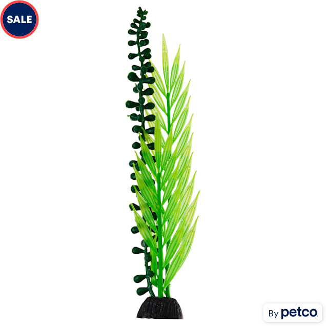 vice versa krab Verandert in Imagitarium Green Silicone Seaweed Aquarium Plant, Large | Petco