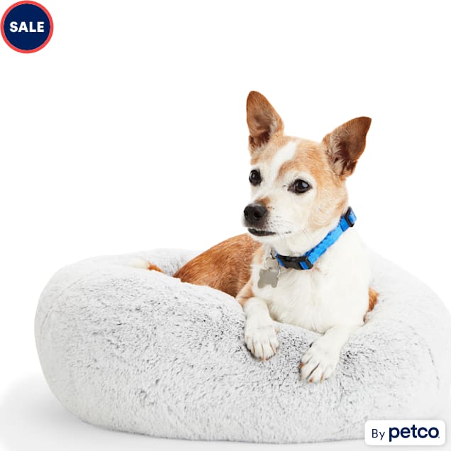 Kong cloud collar petco discount