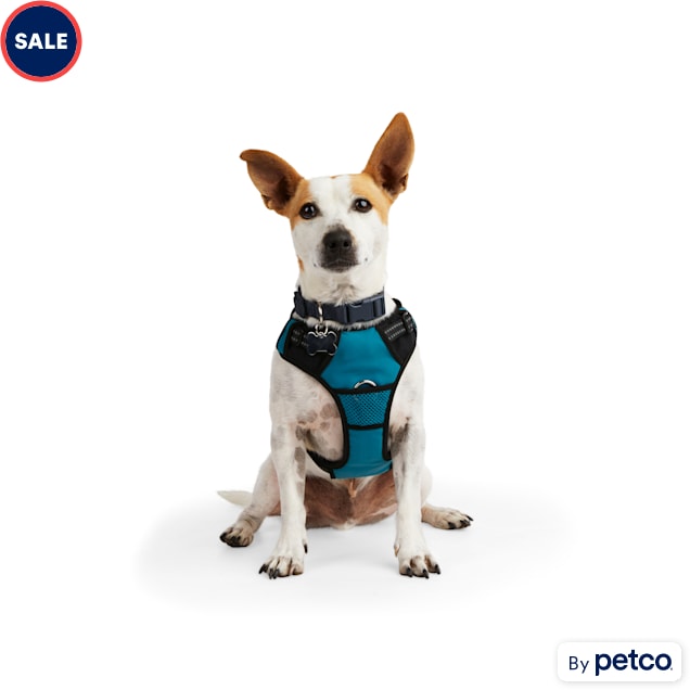 EveryYay Embrace the Pace Teal Reflective Dog Harness, X-Small - Carousel image #1