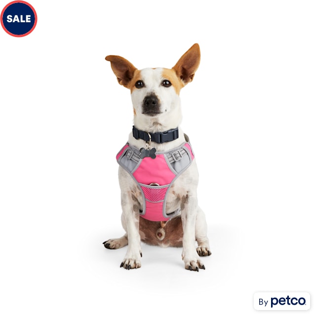 EveryYay Embrace the Pace Pink Reflective Dog Harness, X-Small - Carousel image #1